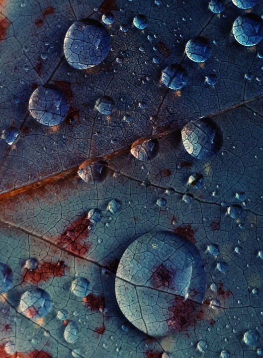 Photographie intitulée "Little planet system" par Albanne Cannet, Œuvre d'art originale, Photographie numérique Monté sur Al…