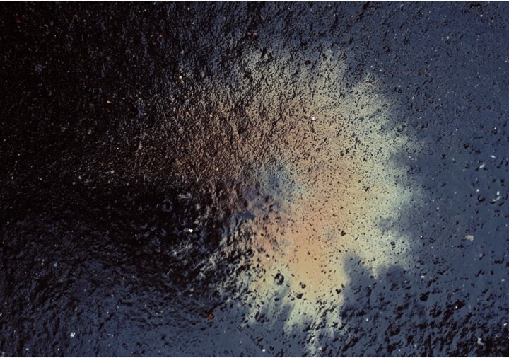 摄影 标题为“Amonite” 由Albanne Cannet, 原创艺术品, 数码摄影