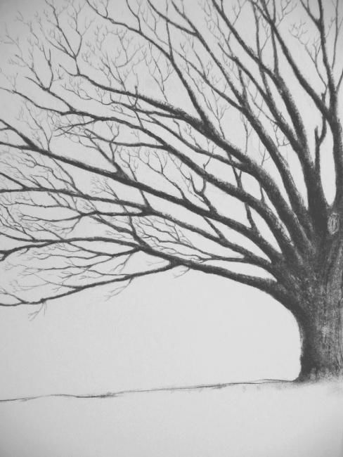 Dessin intitulée "Le chêne (détail)" par Isabelle Albasio, Œuvre d'art originale
