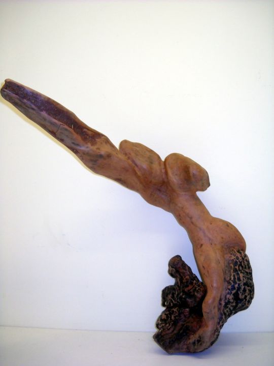 Sculpture titled "Nel vuoto, nuoto" by Gianni, Original Artwork, Wood