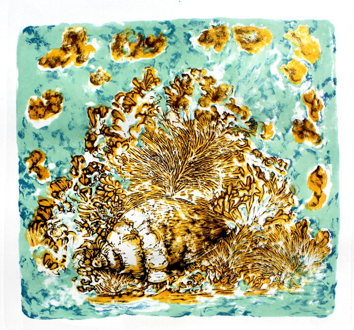 Estampas & grabados titulada "Frutos de mar" por Alejandra Coirini, Obra de arte original, Litografía
