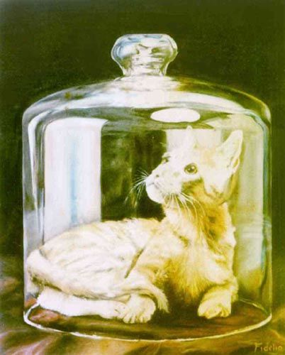 Painting titled "Gato encerrado" by Alejandro Fidelio, Original Artwork, Oil Mounted on Wood Panel