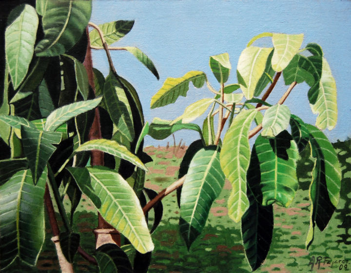 Painting titled "mangos-2.jpg" by Alejandro Fajardo, Original Artwork