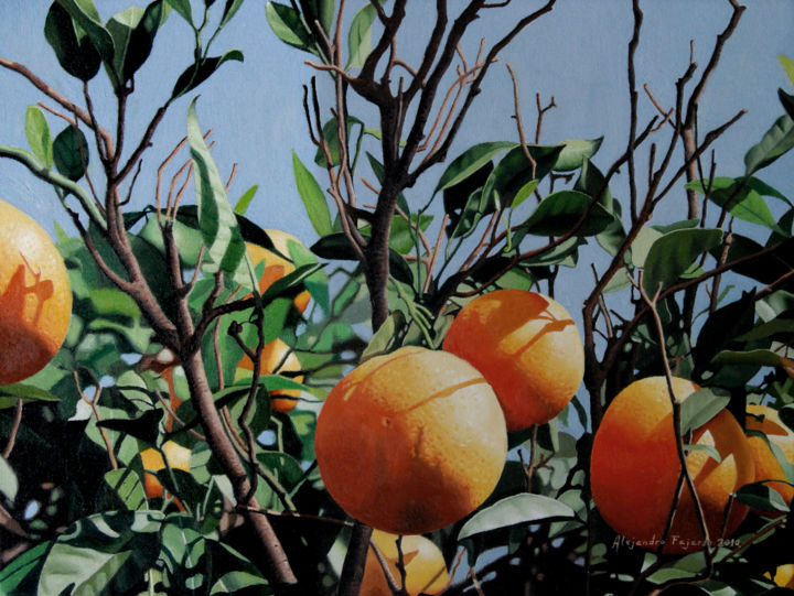 Pintura titulada "naranjo-7.jpg" por Alejandro Fajardo, Obra de arte original