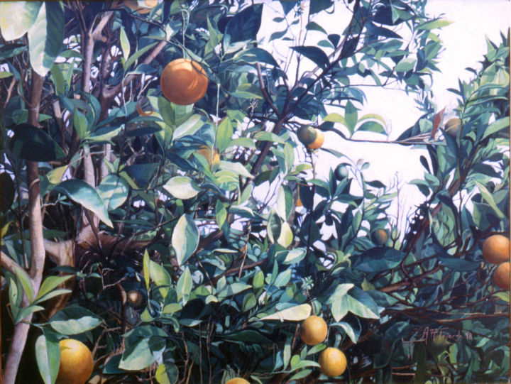 Pintura intitulada "naranjos.jpg" por Alejandro Fajardo, Obras de arte originais