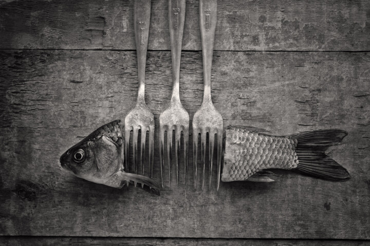 「Это не рыба」というタイトルの写真撮影 Александр Ковязинによって, オリジナルのアートワーク, デジタル