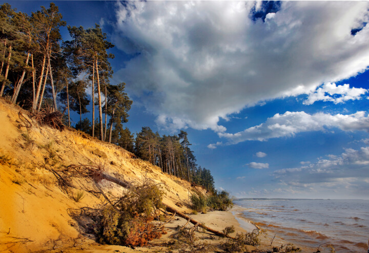 摄影 标题为“заповедный лес” 由Александр Задирака, 原创艺术品, 数码摄影