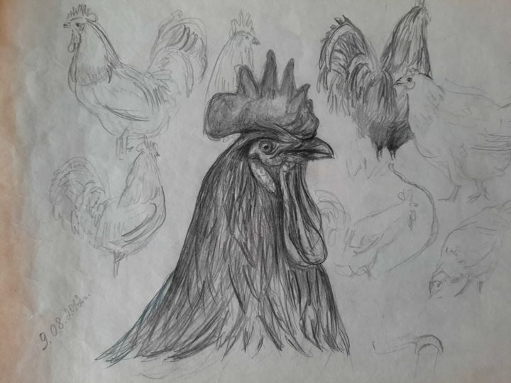 Dessin intitulée "Эскиз птиц" par Aleksandr Kashliavik, Œuvre d'art originale, Crayon