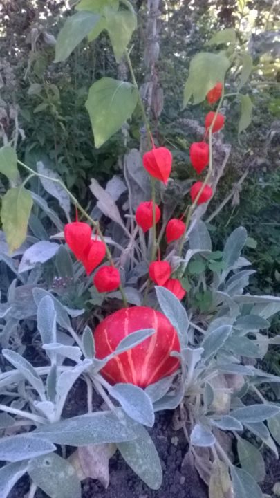 Photography titled "Pumpkin,physalis in…" by Marina Alexandrova, Original Artwork