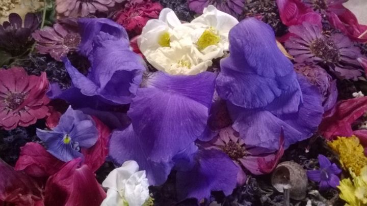 Fotografia intitulada "Iris, wild rose, dr…" por Marina Alexandrova, Obras de arte originais