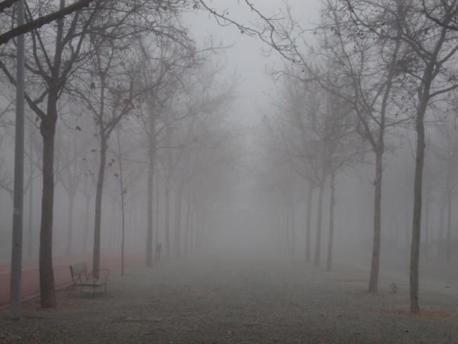 Fotografia intitulada "Fog" por Aleks Demidoff, Obras de arte originais