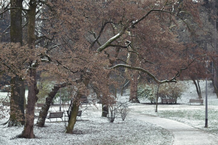 Photography titled "Winter scene in par…" by Alen Gurovic, Original Artwork, Non Manipulated Photography