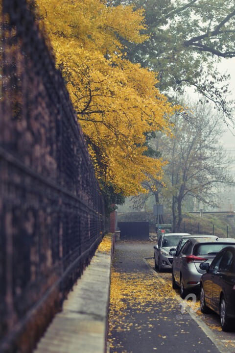 Fotografie getiteld "Autumn mood" door Alen Gurovic, Origineel Kunstwerk, Niet gemanipuleerde fotografie