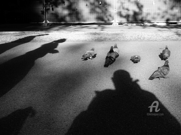 Фотография под названием "The life of a pigeon" - Alen Gurovic, Подлинное произведение искусства, Цифровая фотография