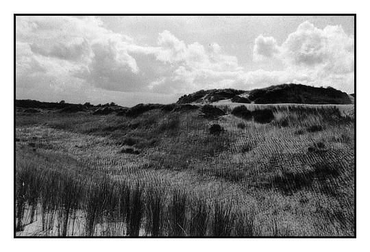 Photography titled "La dune." by Jean-Louis Alessandri, Original Artwork