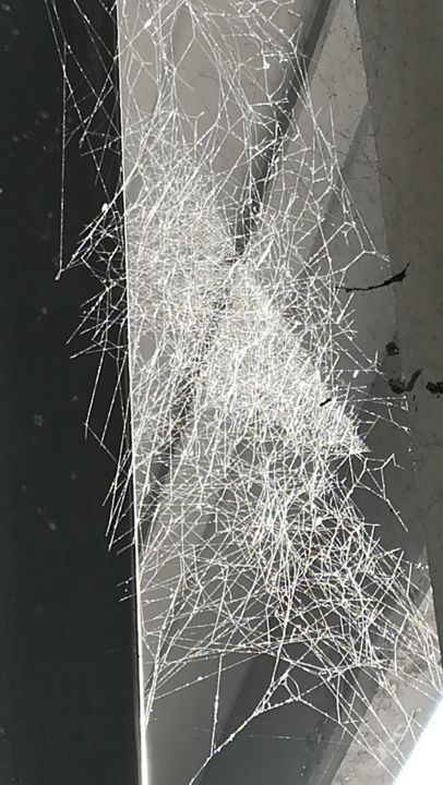 Fotografia intitolato "Ray of Spider" da Giordano, Opera d'arte originale