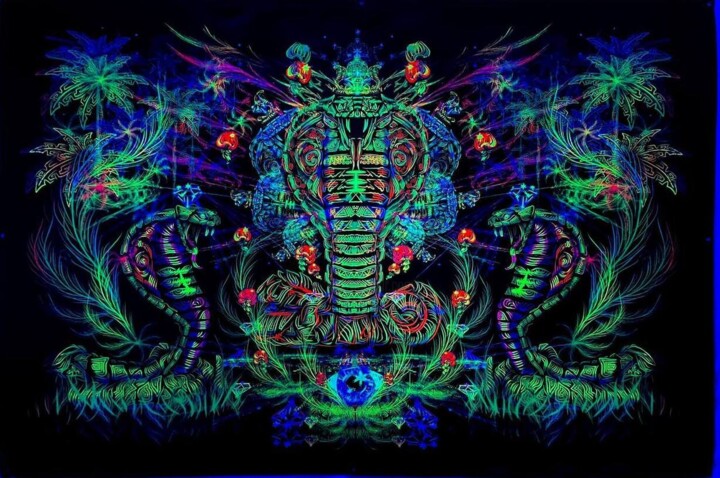 Digital Arts titled "Blacklight tapestry…" by Alex Anahart, Original Artwork, Fabric