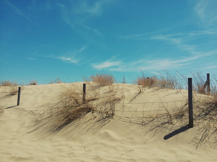 Photography titled "The dune" by Alex Barba, Original Artwork