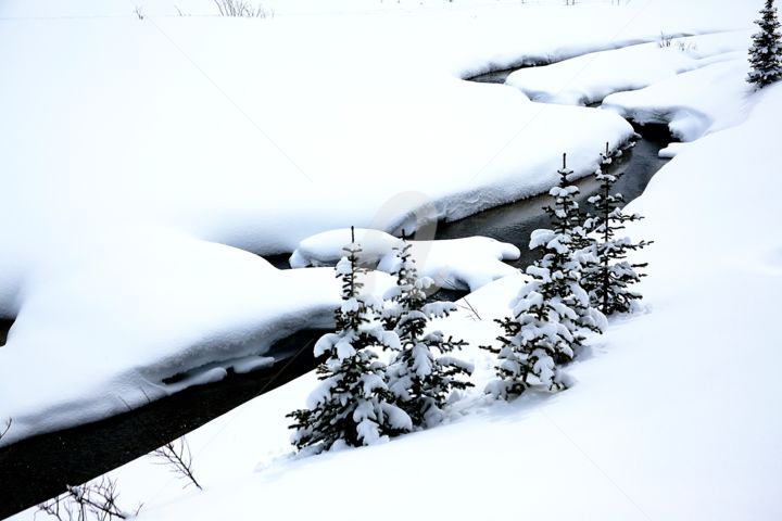 Photography titled "Snow river" by Alex Borovko, Original Artwork