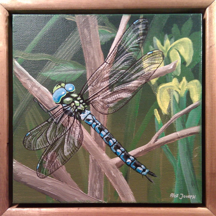 Peinture intitulée "libelle-20x20-cadre…" par Alex Joseph, Œuvre d'art originale, Acrylique