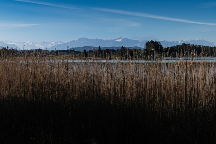 Fotografie mit dem Titel "Over the reed" von Alex Muscaliu (Alex and the Weekend), Original-Kunstwerk, Digitale Fotografie