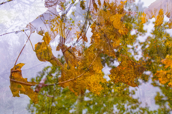 Photographie intitulée "Cold, wet, autumn s…" par Alexander Mats, Œuvre d'art originale, Photographie numérique