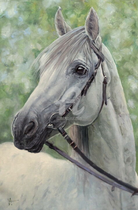 Painting titled "White Horse" by Alexander Volya, Original Artwork, Oil