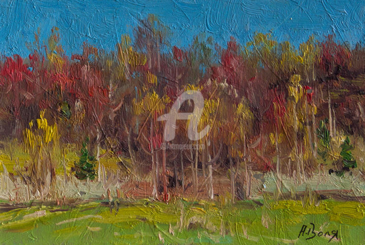 Painting titled "Forest edge, sketch" by Alexander Volya, Original Art, Oil