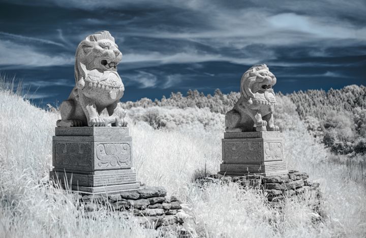 Photographie intitulée "Guardians" par Alexander Leng, Œuvre d'art originale, Autre