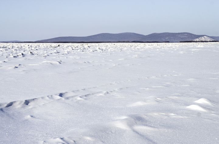 「Amur river」というタイトルの写真撮影 Alexandr Zhurakovskiyによって, オリジナルのアートワーク, デジタル