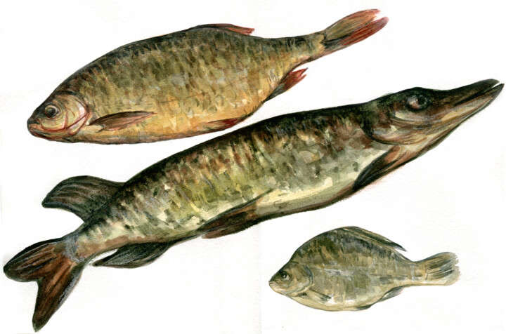 Painting titled "Pisces. ORIGINAL WA…" by Alexandra Zatelepina, Original Artwork, Watercolor