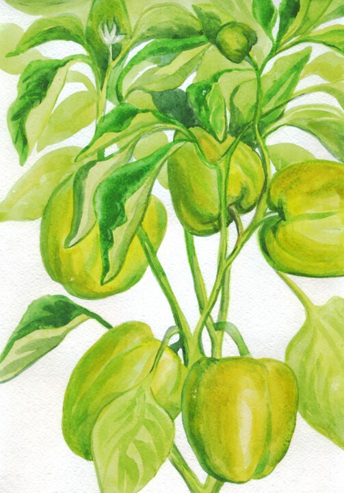 Painting titled "Pepper. ORIGINAL WA…" by Alexandra Zatelepina, Original Artwork, Watercolor
