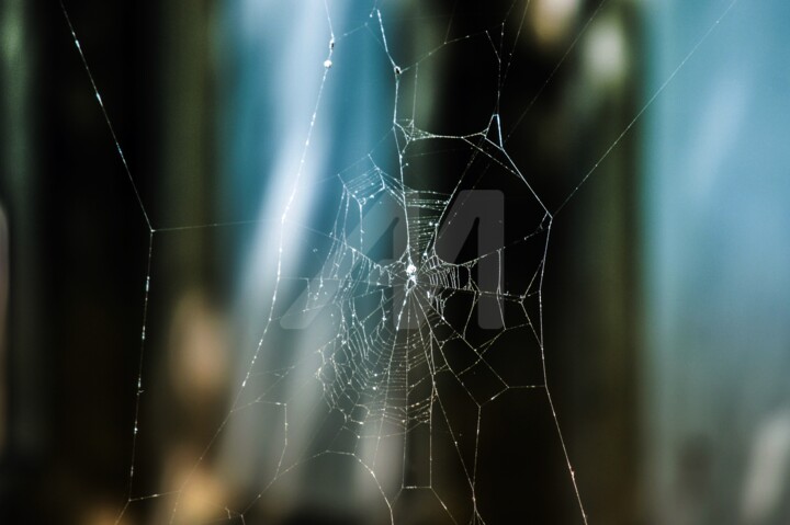 Fotografia intitulada "A casa da artista" por Alex De Souza, Obras de arte originais,