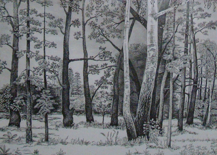 Рисунок под названием "Forest" - Alexey Antropov, Подлинное произведение искусства, Графит