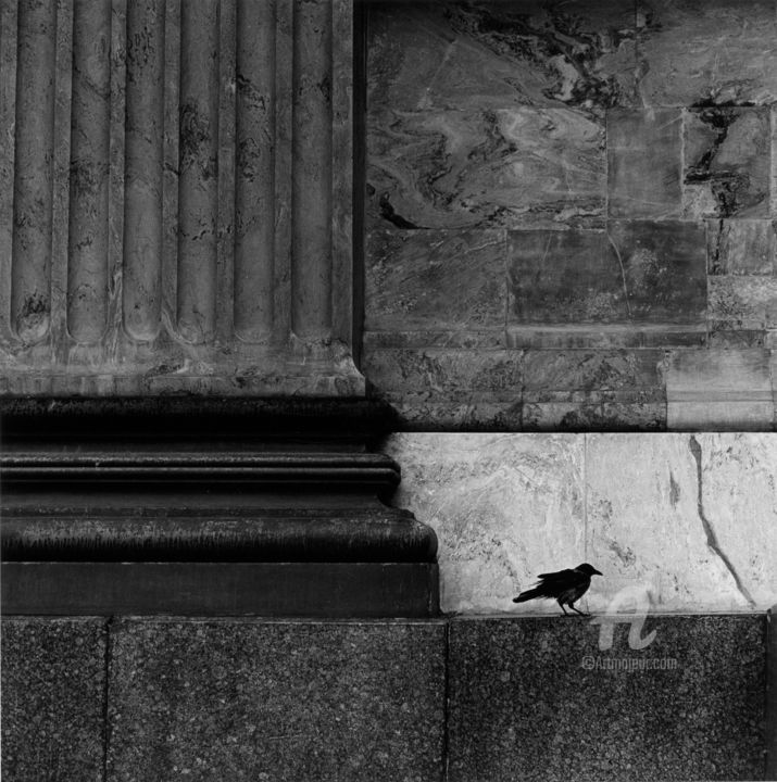 Photographie intitulée "Ворона / Crow" par Alexey Sobolev, Œuvre d'art originale, Photographie argentique