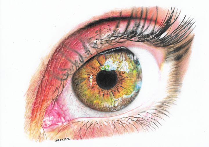 Disegno intitolato "Ojo Realista" da Alexis Arte, Opera d'arte originale, Matita