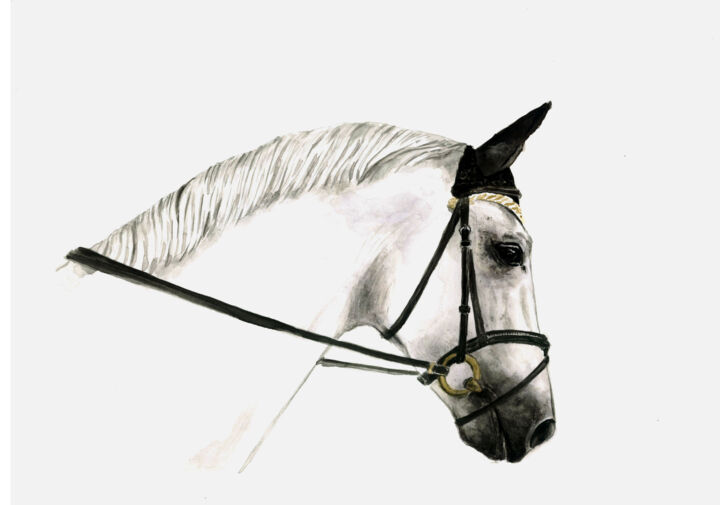 Pintura titulada "White Horse Waterco…" por Aleksandra Marjanovic, Obra de arte original, Acuarela