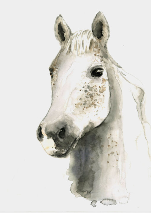 Malarstwo zatytułowany „White Horse” autorstwa Aleksandra Marjanovic, Oryginalna praca, Akwarela