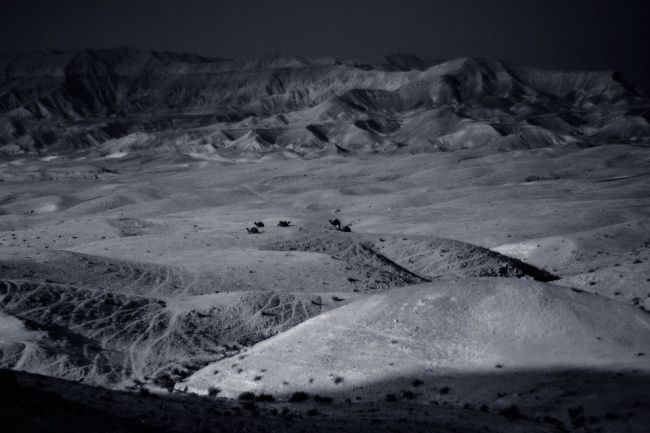 Fotografia intitolato "Judean Desert" da Alex Rachlis, Opera d'arte originale