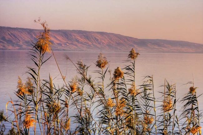 Fotografía titulada "The Sea of Galilee" por Alex Rachlis, Obra de arte original