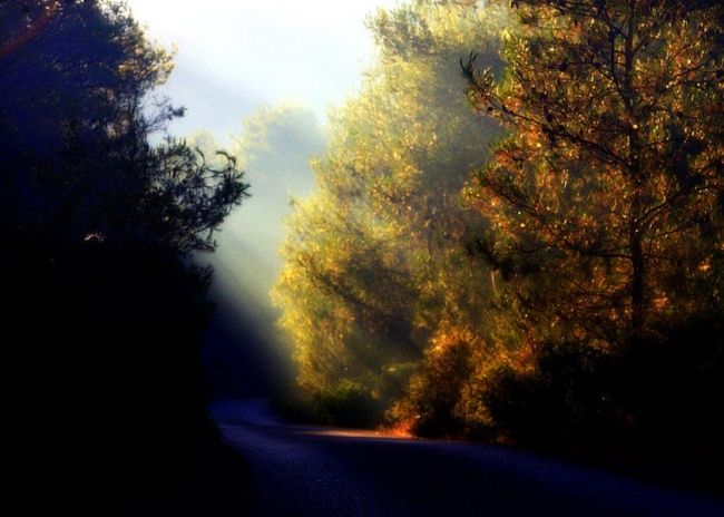 "Sunrise in the fore…" başlıklı Fotoğraf Alex Rachlis tarafından, Orijinal sanat