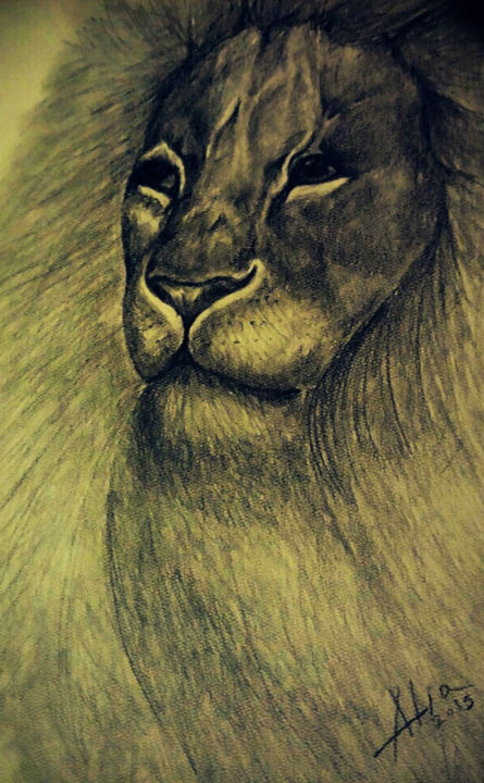 Drawing titled "Lion" by Alia Beydoun, Original Artwork, Charcoal