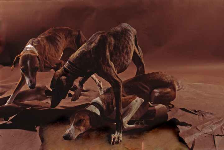 Photography titled "You know I thought…" by Alice Odilon, Original Art, Non Manipulated Photography