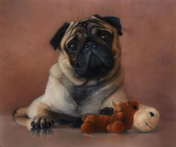 Картина под названием "The pug Frank Paint…" - Alina Belyaeva, Подлинное произведение искусства, Аэрограф