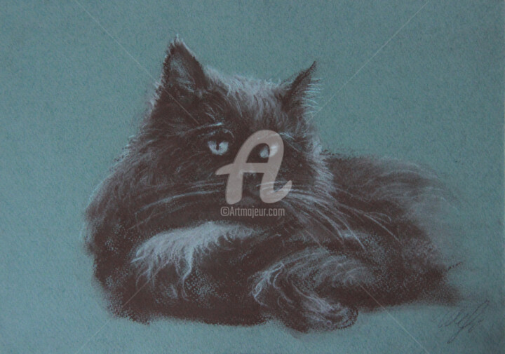 Рисунок под названием ""BARSIK CAT" ORIGIN…" - Alina Shangina, Подлинное произведение искусства, Древесный уголь
