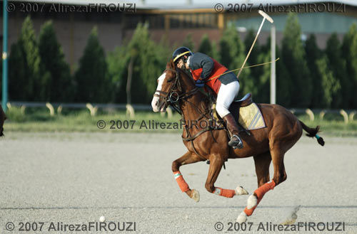 Photographie intitulée "POLO" par Alireza Firouzi, Œuvre d'art originale