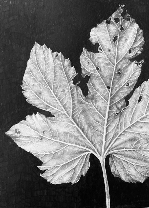 Dessin intitulée "Monochrome leaf 202…" par Alisa Diakova, Œuvre d'art originale, Encre