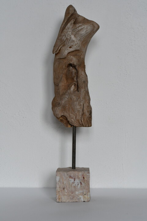 Sculpture intitulée "She" par Allians, Œuvre d'art originale, Autre