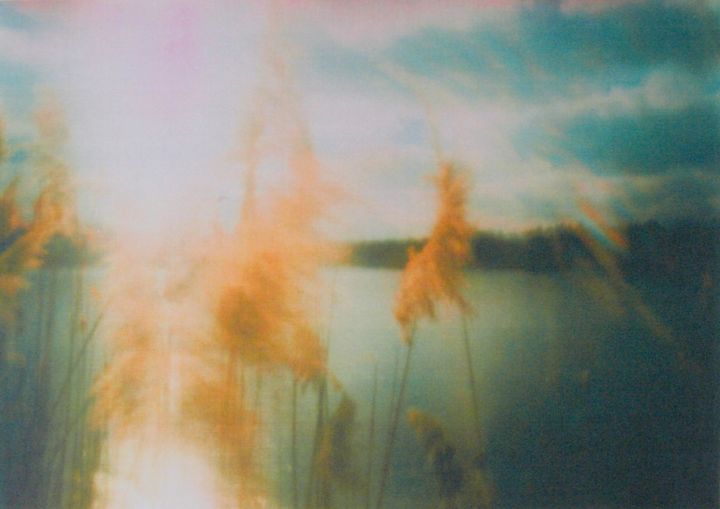 Photographie intitulée "Reed" par Allmuth Lenz, Œuvre d'art originale, Photographie argentique