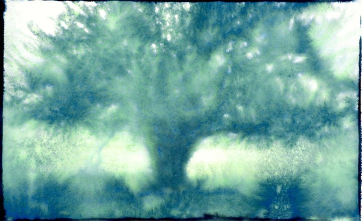 Fotografie getiteld "Tree in Storm" door Allmuth Lenz, Origineel Kunstwerk, Film fotografie